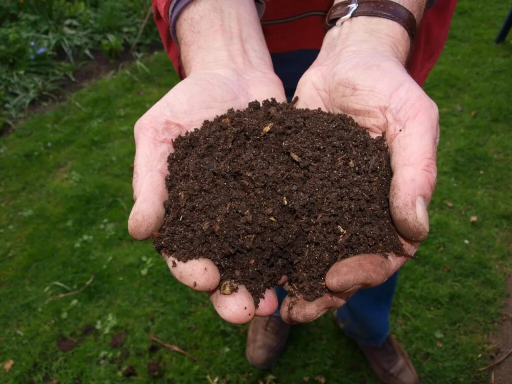 Best raised bed soil mix