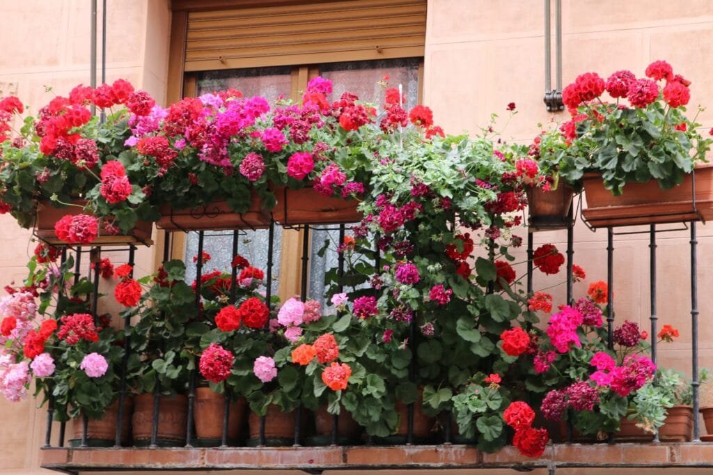 A small balcony vegetable garden in containers